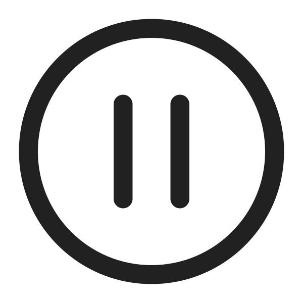 Ic Fluent Pause Circle 16 Regular