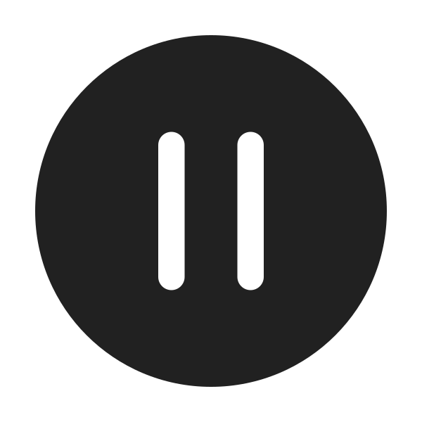 Ic Fluent Pause Circle 24 Filled
