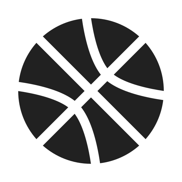 Ic Fluent Sport Basketball 20 Filled