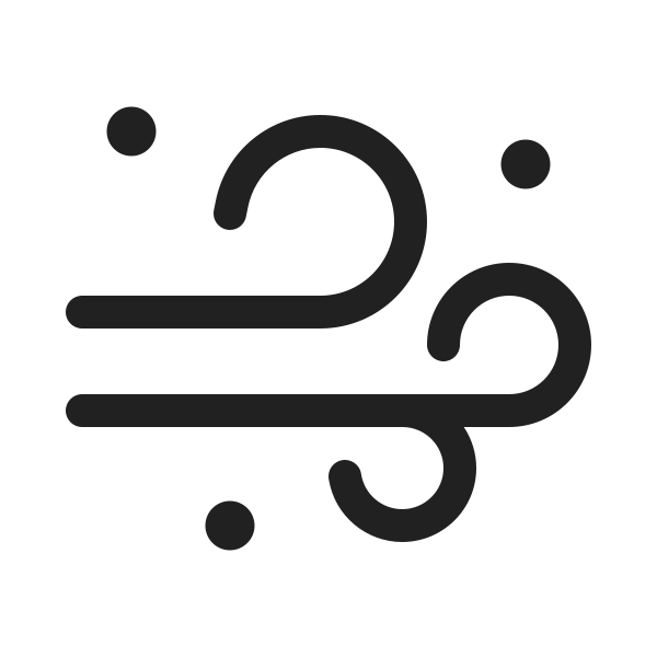 Ic Fluent Weather Blowing Snow 20 Regular