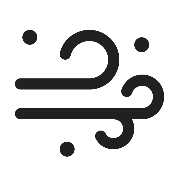 Ic Fluent Weather Blowing Snow 24 Regular