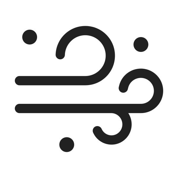 Ic Fluent Weather Blowing Snow 48 Regular