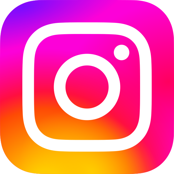Instagram Icon Vector