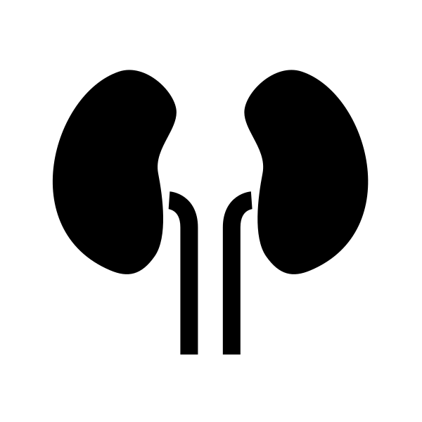 Kidneys