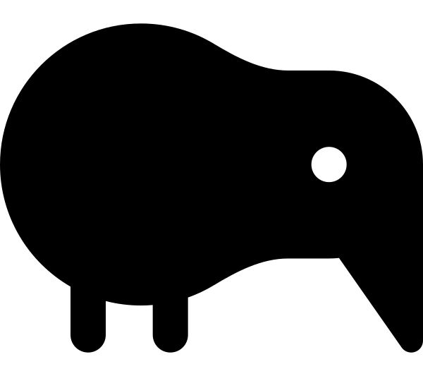 Kiwi Bird