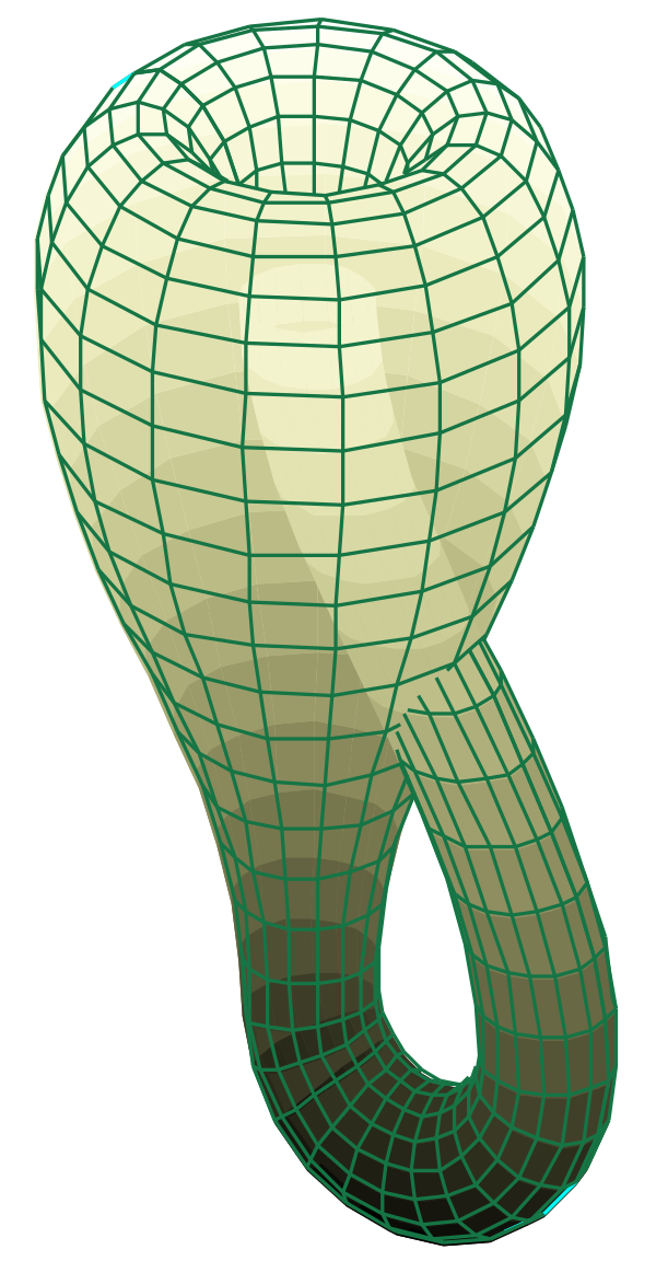 Klein Bottle Vector