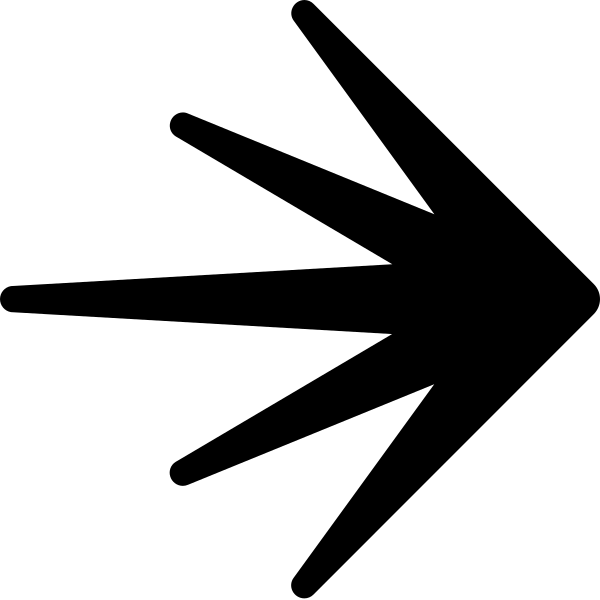 Launchdarkly Icon
