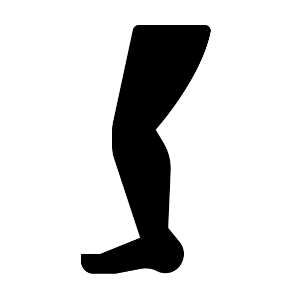Leg