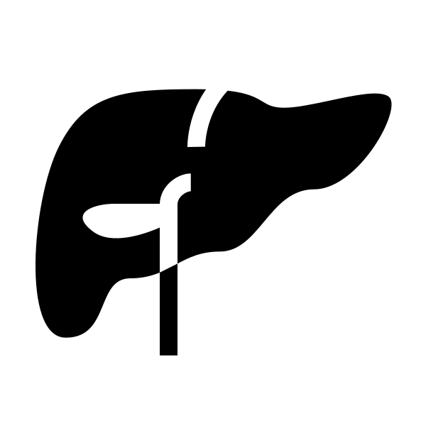 Liver