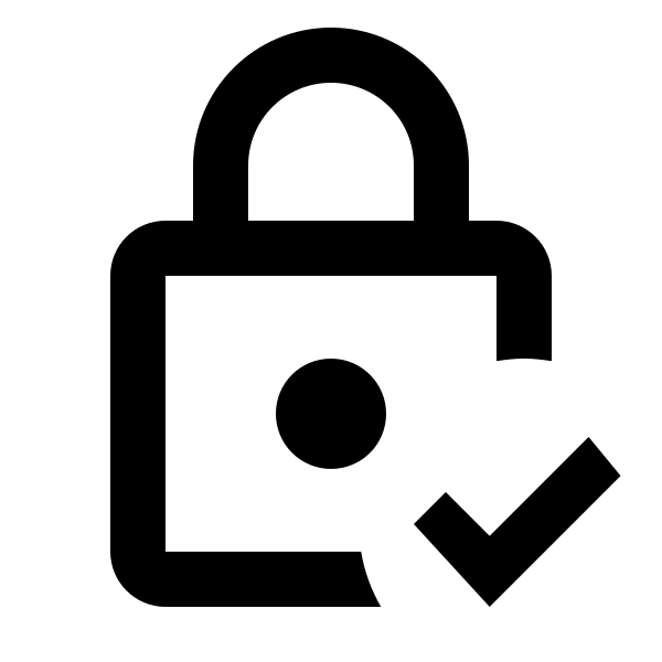 Lock Check Outline