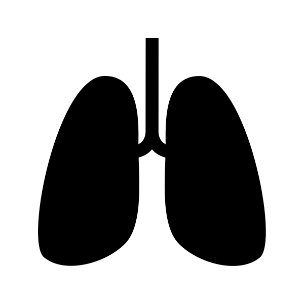 Lungs