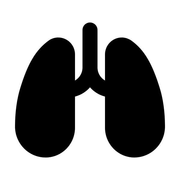 Lungs