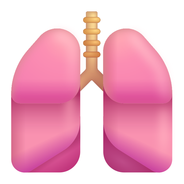 Lungs Color Vector