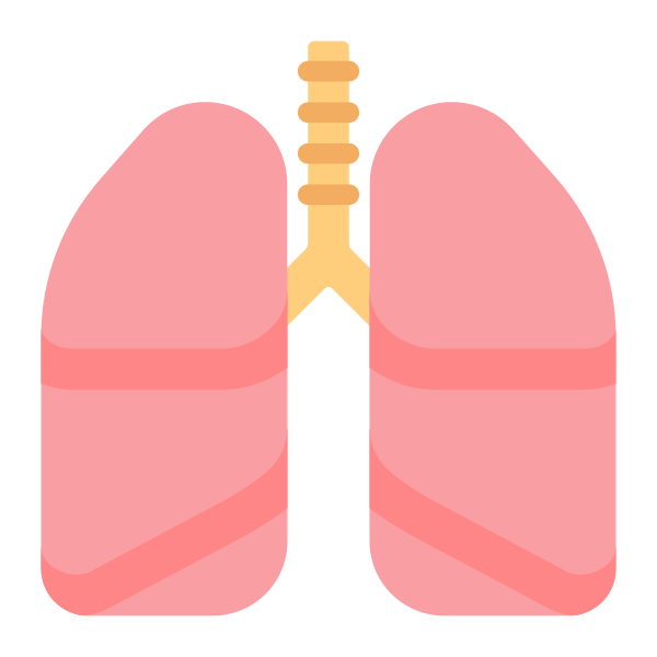 Lungs Flat Vector