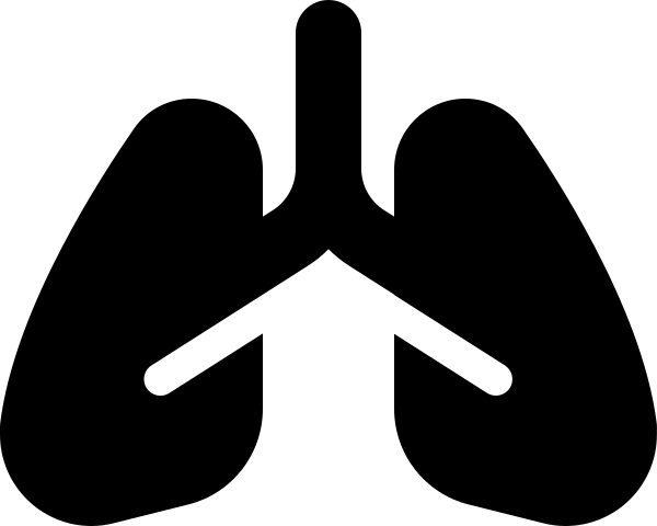 Lungs