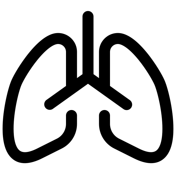 Lungs