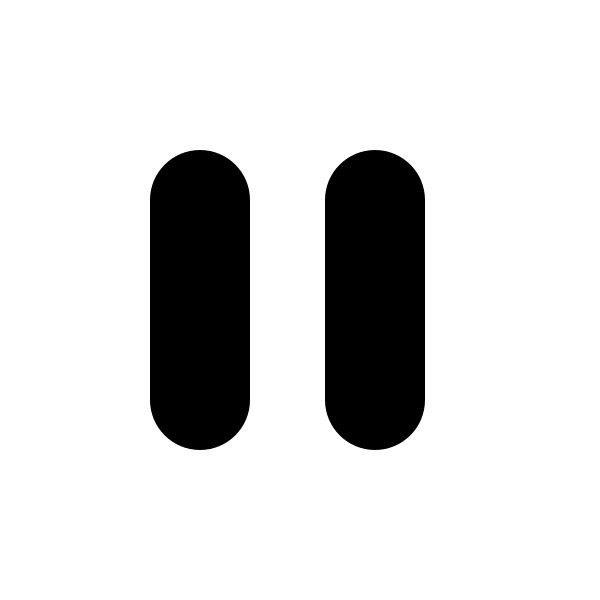 Media Pause Vector