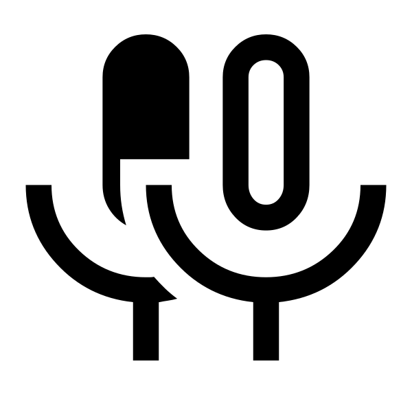 Mic Double