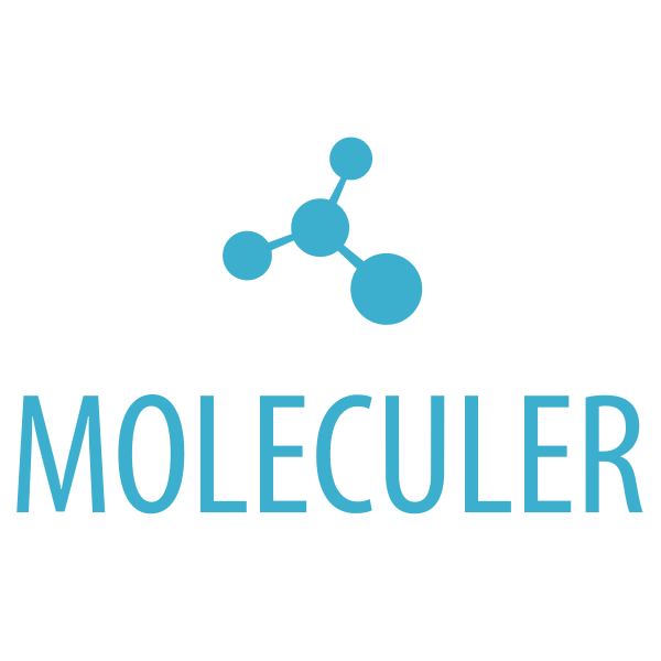 Moleculer Original Wordmark
