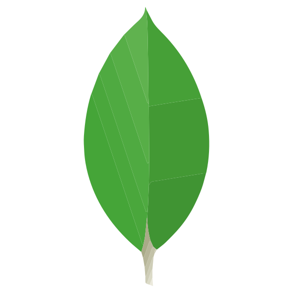 Mongodb Original