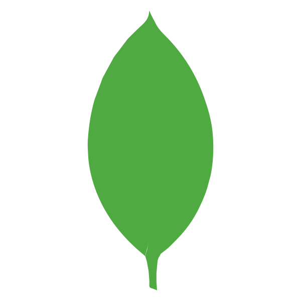 Mongodb Plain