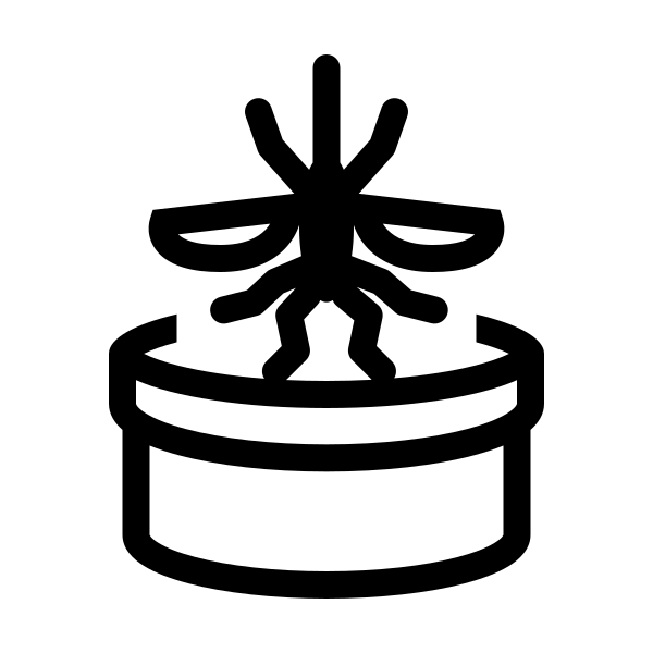 Mosquito Collection