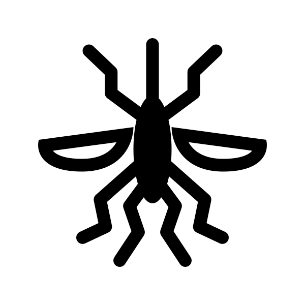 Mosquito