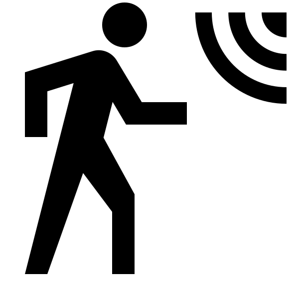 Motion Sensor