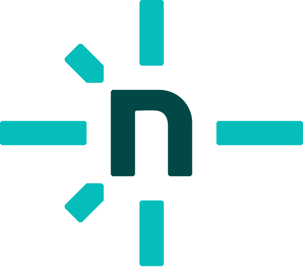Netlify Vector