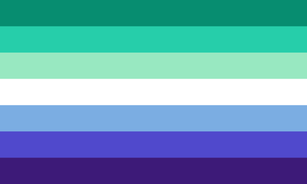 New Gay Pride Flag