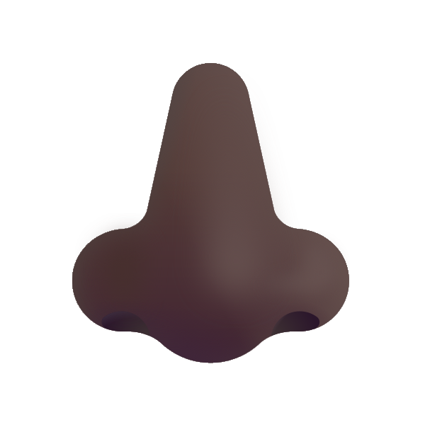 Nose Color Dark Vector