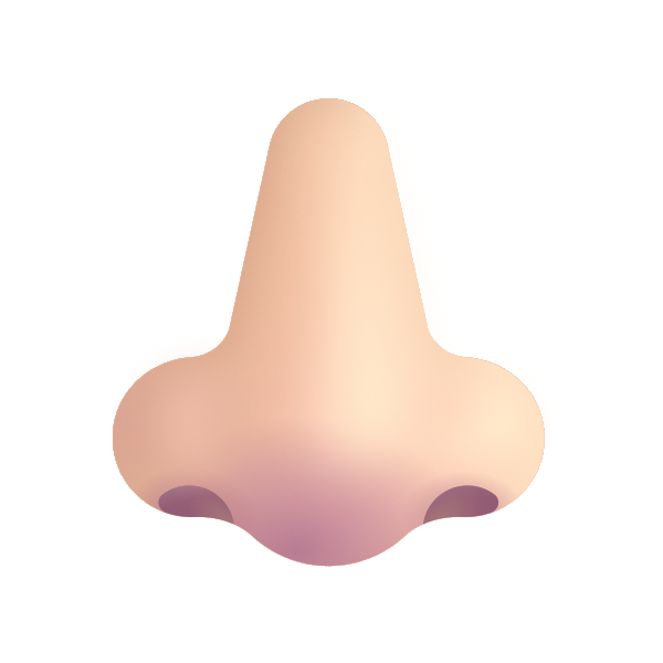 Nose Color Light