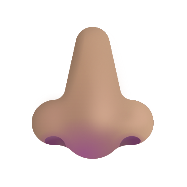 Nose Color Medium Vector