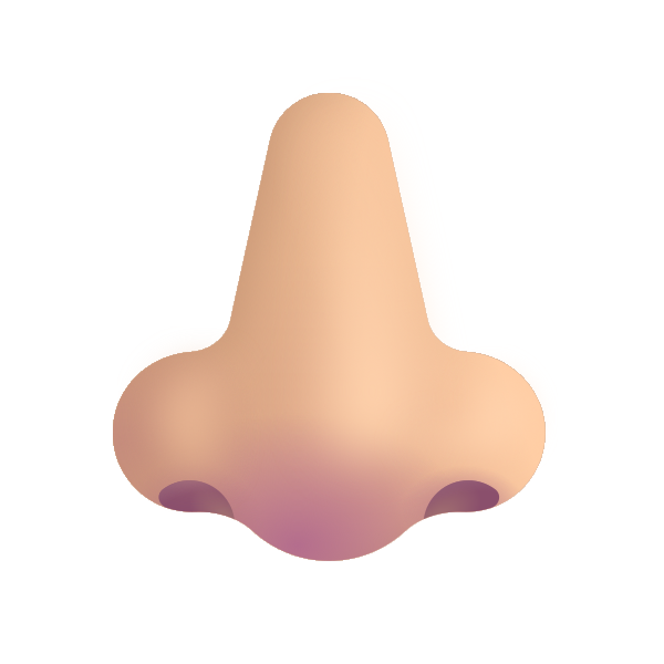 Nose Color Medium Light Vector