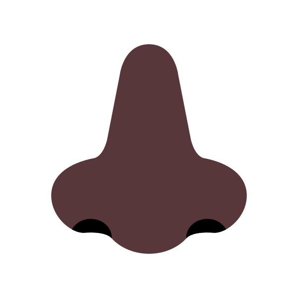 Nose Flat Dark Vector