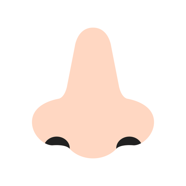 Nose Flat Light
