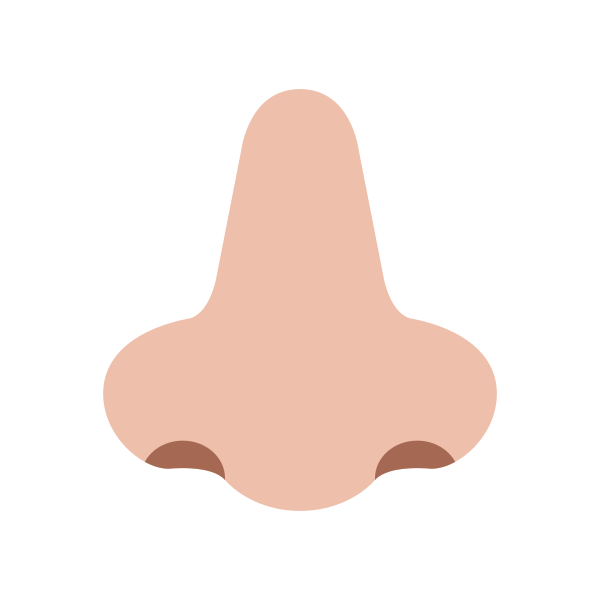 Nose Flat Medium Light Vector
