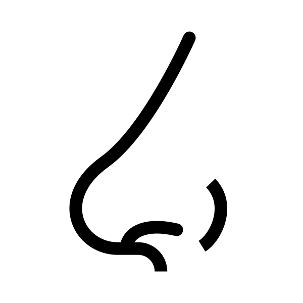 Nose
