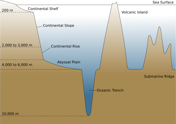Oceanic Basin