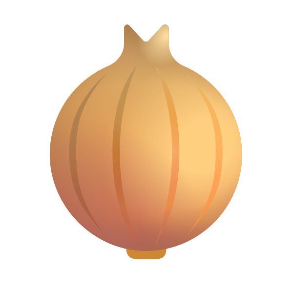 Onion Color Vector