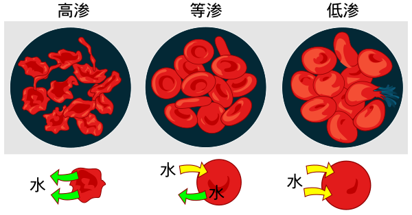 Osmotic Pressure On Blood Cells Diagram (zh Cn)