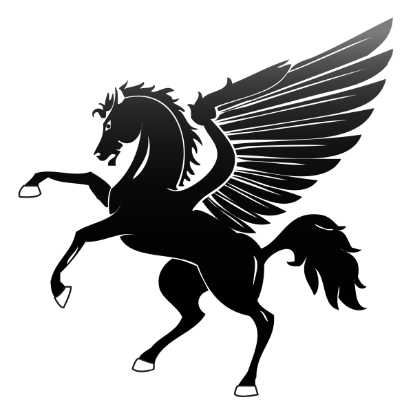 PEO Pegasus Black