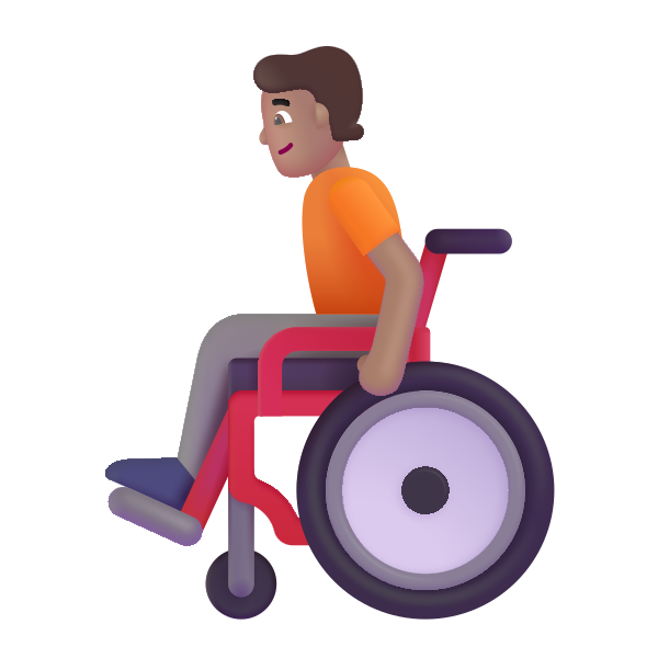 Person In Manual Wheelchair Color Medium