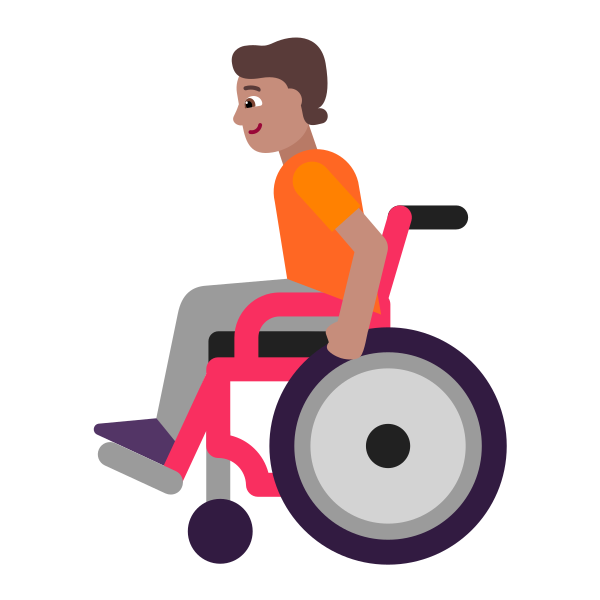 Person In Manual Wheelchair Flat Medium