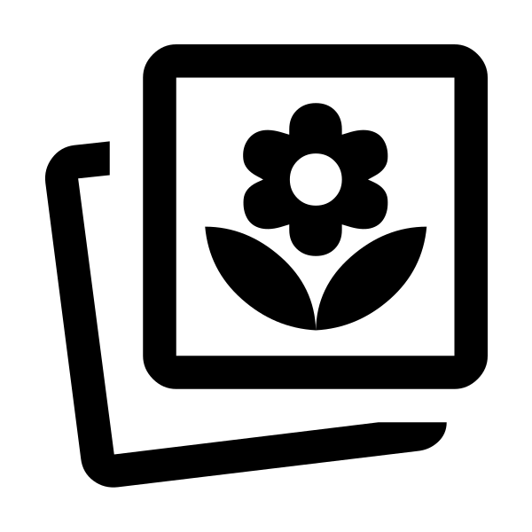Photo Prints
