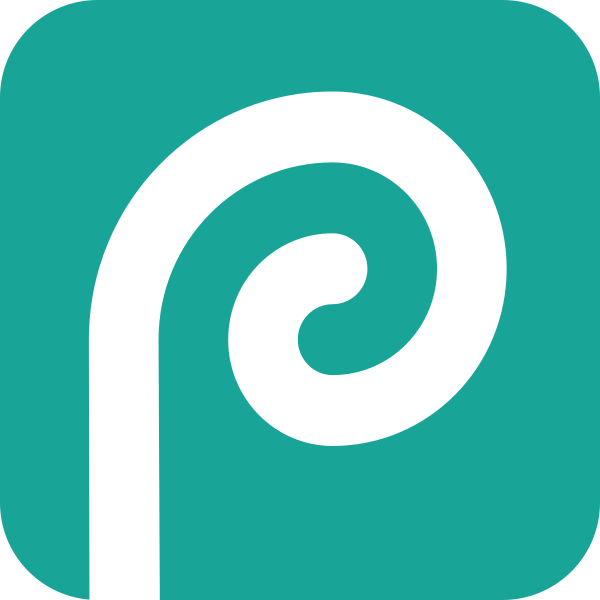 Photopea Vector