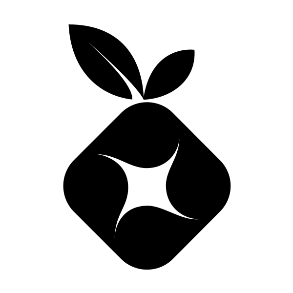 Pi Hole
