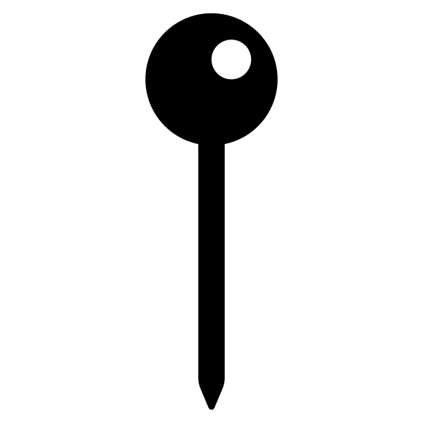 Pin