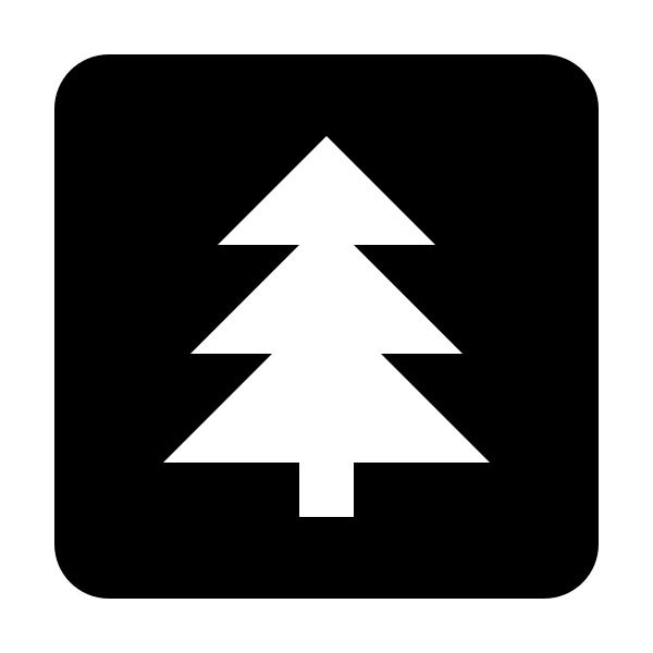 Pine Tree Box