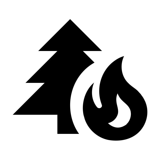 Pine Tree Fire